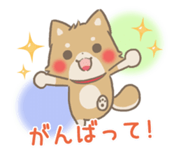 mild-fluffy-Shiba-inu -spring&summer- sticker #10906712