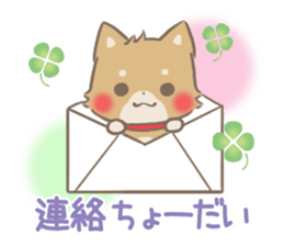 mild-fluffy-Shiba-inu -spring&summer- sticker #10906714