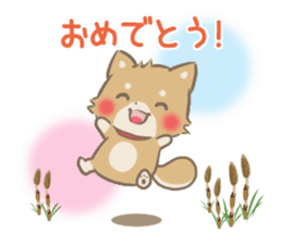 mild-fluffy-Shiba-inu -spring&summer- sticker #10906718