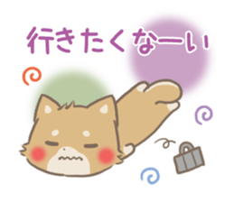 mild-fluffy-Shiba-inu -spring&summer- sticker #10906722