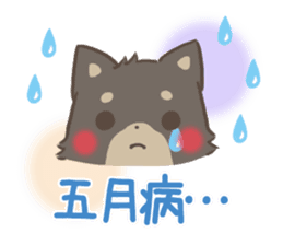 mild-fluffy-Shiba-inu -spring&summer- sticker #10906723