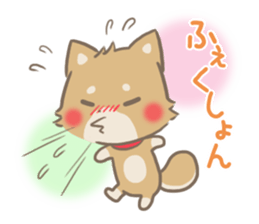 mild-fluffy-Shiba-inu -spring&summer- sticker #10906724