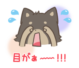 mild-fluffy-Shiba-inu -spring&summer- sticker #10906725