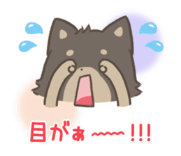 mild-fluffy-Shiba-inu -spring&summer- sticker #10906725