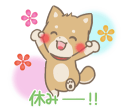mild-fluffy-Shiba-inu -spring&summer- sticker #10906730