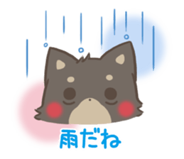 mild-fluffy-Shiba-inu -spring&summer- sticker #10906731