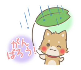 mild-fluffy-Shiba-inu -spring&summer- sticker #10906732