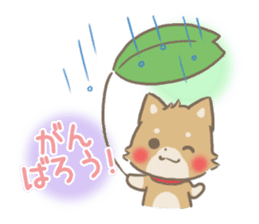 mild-fluffy-Shiba-inu -spring&summer- sticker #10906732