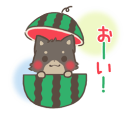 mild-fluffy-Shiba-inu -spring&summer- sticker #10906733