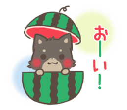 mild-fluffy-Shiba-inu -spring&summer- sticker #10906733