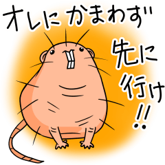 ハダカゲバネズミのフラグスタンプ Lineクリエイターズスタンプ Stamplist ハダカゲバネズミのフラグスタンプ Lineクリエイターズスタンプ Stamplist