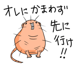 Flag sticker of HADAKAGEBANEZUMI sticker #10906856