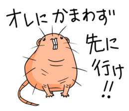 Flag sticker of HADAKAGEBANEZUMI sticker #10906856