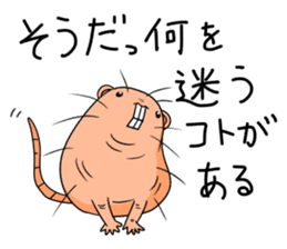 Flag sticker of HADAKAGEBANEZUMI sticker #10906857