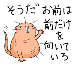 Flag sticker of HADAKAGEBANEZUMI sticker #10906860