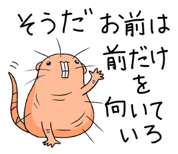 Flag sticker of HADAKAGEBANEZUMI sticker #10906860