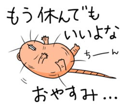 Flag sticker of HADAKAGEBANEZUMI sticker #10906861