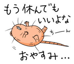 Flag sticker of HADAKAGEBANEZUMI sticker #10906861