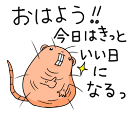 Flag sticker of HADAKAGEBANEZUMI sticker #10906863