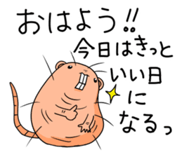 Flag sticker of HADAKAGEBANEZUMI sticker #10906863