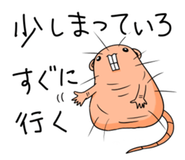 Flag sticker of HADAKAGEBANEZUMI sticker #10906864