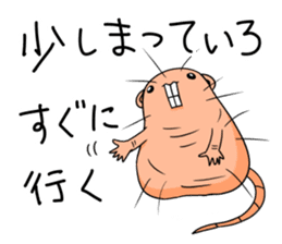 Flag sticker of HADAKAGEBANEZUMI sticker #10906864