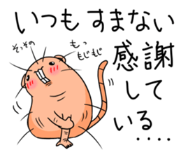 Flag sticker of HADAKAGEBANEZUMI sticker #10906868