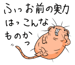 Flag sticker of HADAKAGEBANEZUMI sticker #10906870