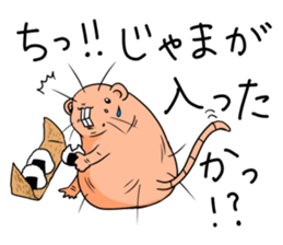 Flag sticker of HADAKAGEBANEZUMI sticker #10906874