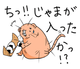 Flag sticker of HADAKAGEBANEZUMI sticker #10906874