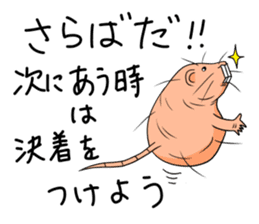 Flag sticker of HADAKAGEBANEZUMI sticker #10906876