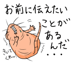 Flag sticker of HADAKAGEBANEZUMI sticker #10906878