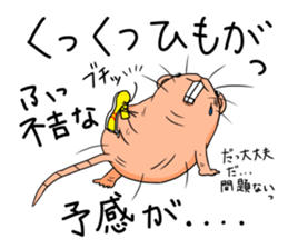 Flag sticker of HADAKAGEBANEZUMI sticker #10906879