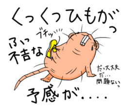 Flag sticker of HADAKAGEBANEZUMI sticker #10906879