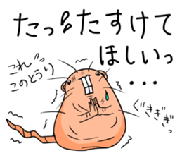 Flag sticker of HADAKAGEBANEZUMI sticker #10906885