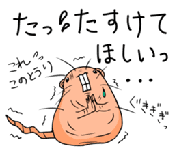 Flag sticker of HADAKAGEBANEZUMI sticker #10906885