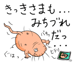 Flag sticker of HADAKAGEBANEZUMI sticker #10906886