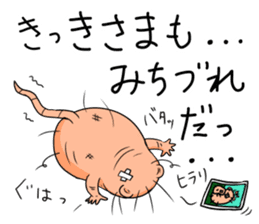 Flag sticker of HADAKAGEBANEZUMI sticker #10906886