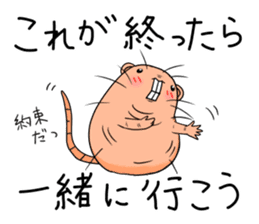 Flag sticker of HADAKAGEBANEZUMI sticker #10906888