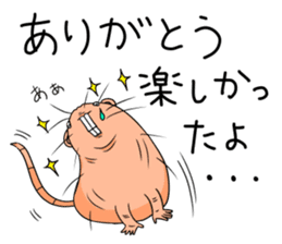 Flag sticker of HADAKAGEBANEZUMI sticker #10906890