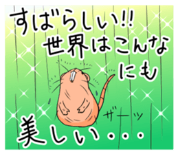 Flag sticker of HADAKAGEBANEZUMI sticker #10906894