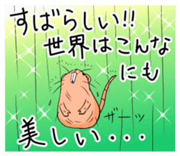 Flag sticker of HADAKAGEBANEZUMI sticker #10906894