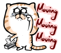 Small bad cat ( International) sticker #10911987