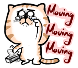 Small bad cat ( International) sticker #10911987