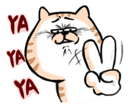 Small bad cat ( International) sticker #10911992