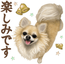 Good! Chihuahua. sticker #10912459
