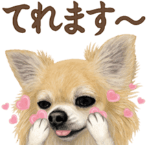 Good! Chihuahua. sticker #10912481