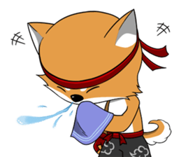 Shiba and Tanuki sticker #10913420