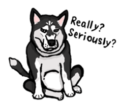 Dog Language sticker #10914461