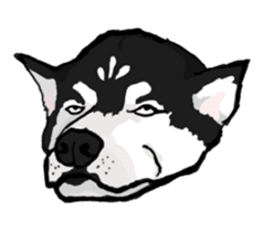 Dog Language sticker #10914464